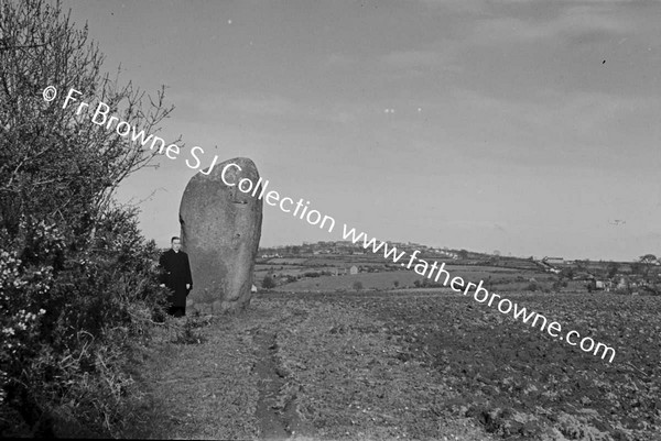 STANDING STONE NEAR PP'S HOUSE